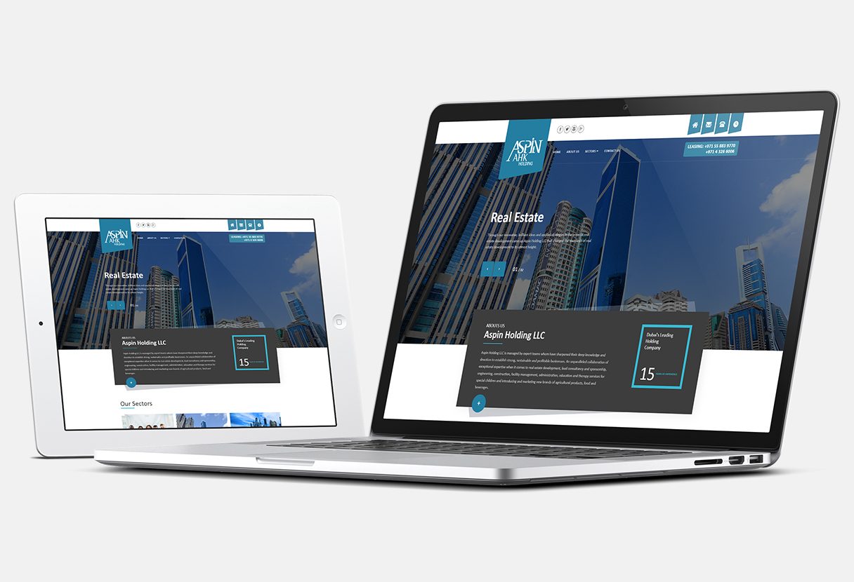 Aspin Holdings